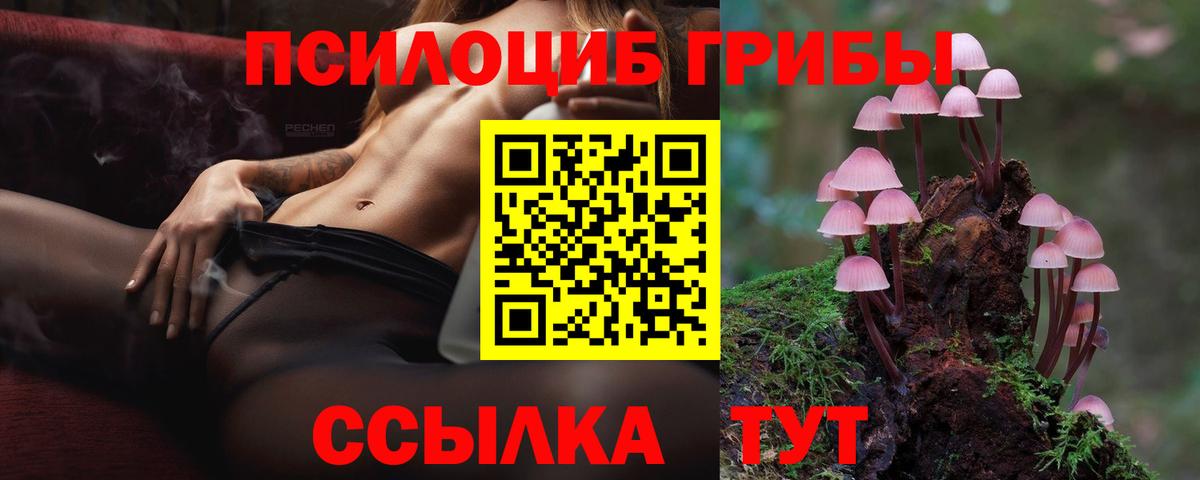 Галлюциногенные грибы Magic Shrooms  как найти закладки  Вход с VPN  Рассказово  Псилоцибиновые грибы мицелий 